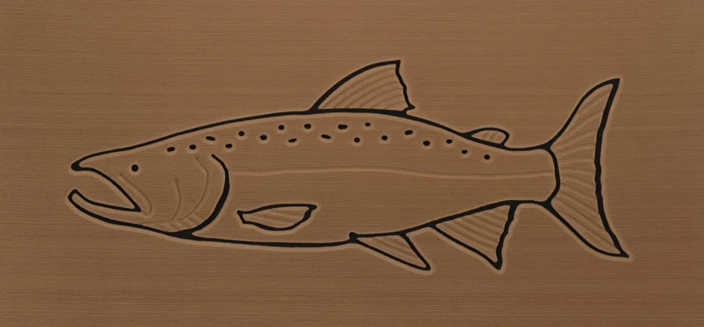 Chinook Salmon