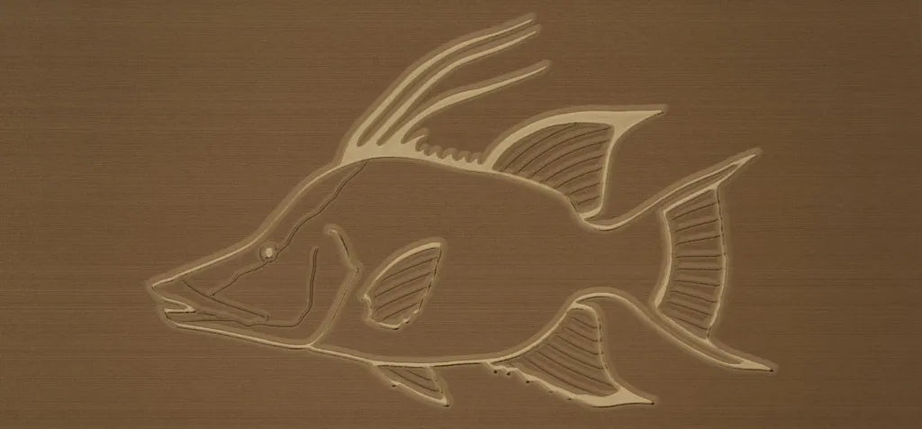 Hogfish