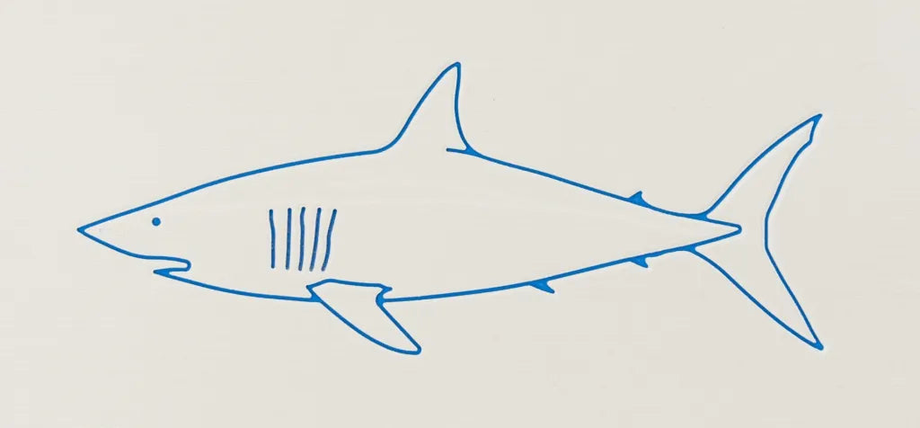 Mako Shark