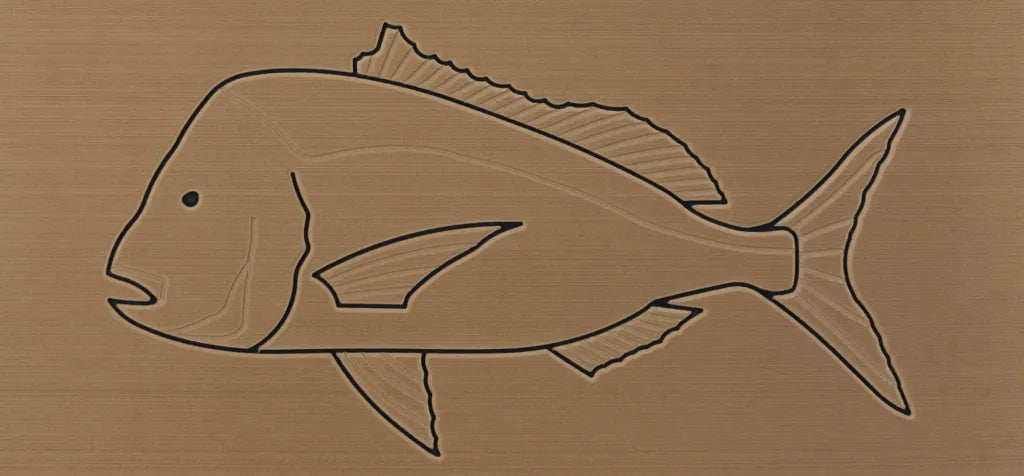 New Zealand Snapper