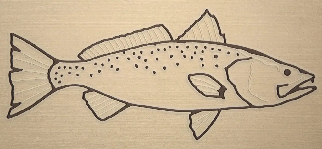 Spotted Seatrout