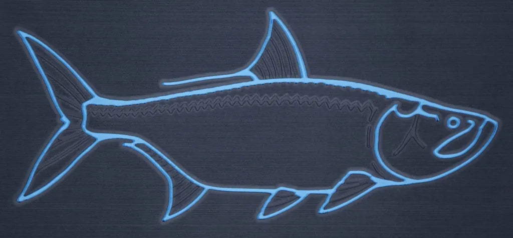 Tarpon