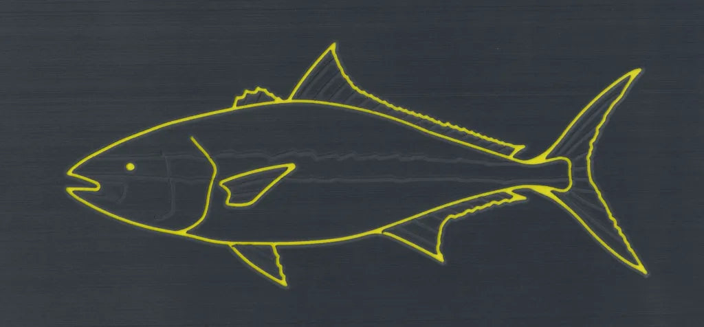 Yellowtail Kingfish